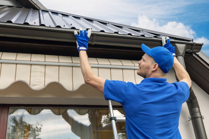 Gutter & Roof Maintenance