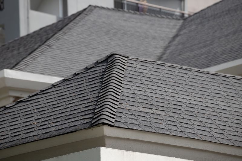 Specialty Roofing Services